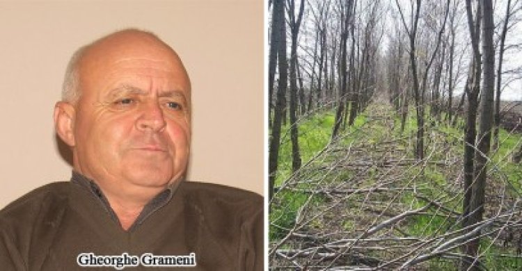 Jale la Mihai Viteazu: inconştienţii distrug perdelele forestiere